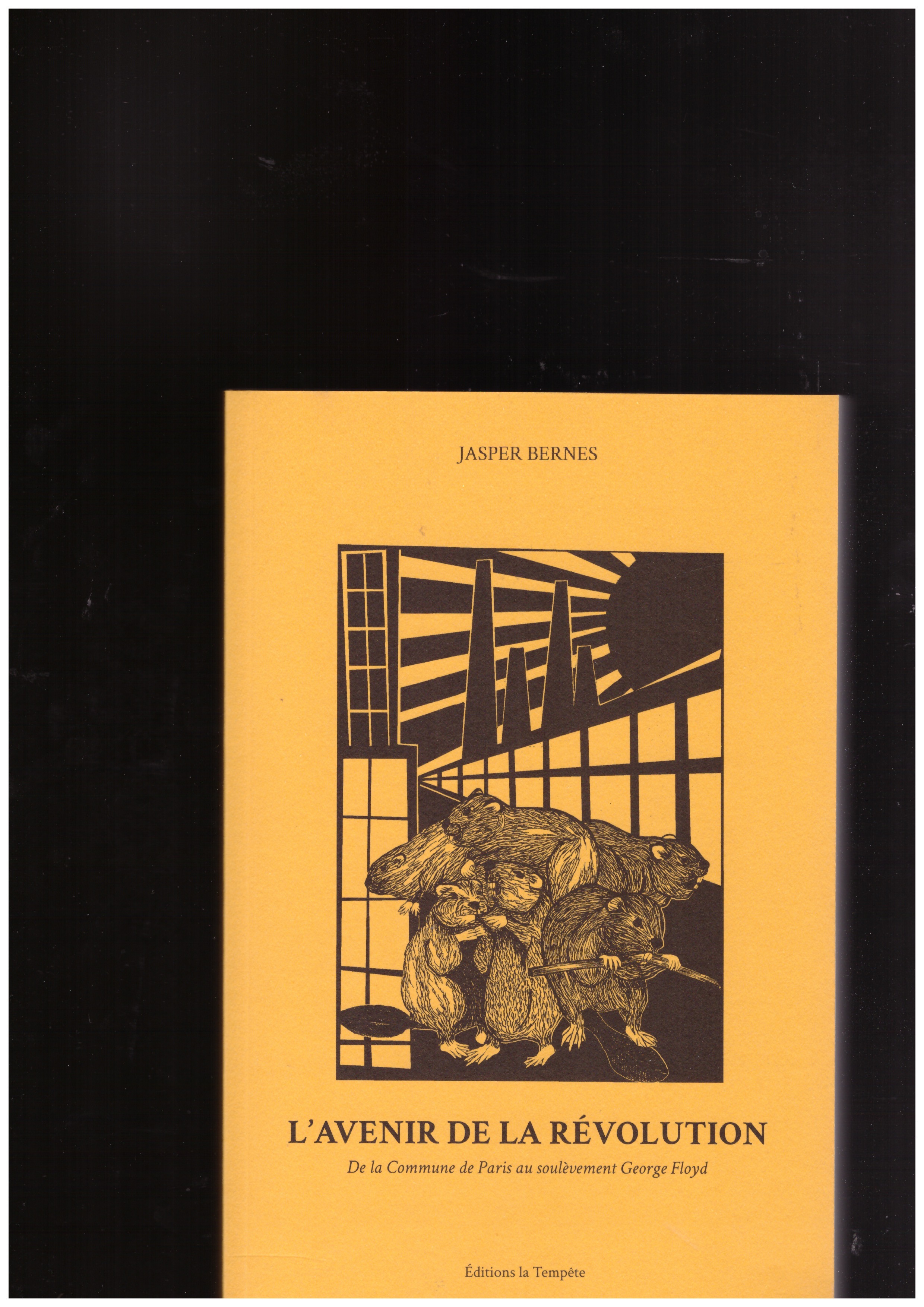 BERNES, Jasper - L’avenir de la révolution